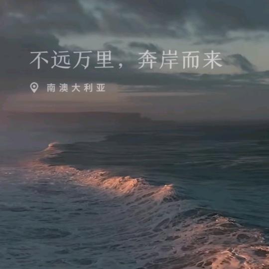 斌哥