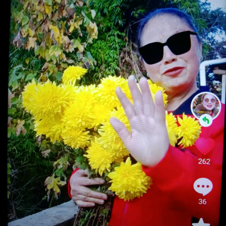 宋大姐