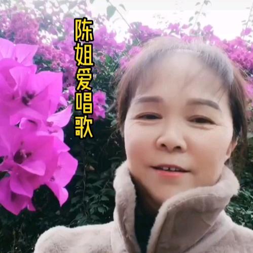 陈姐爱唱歌