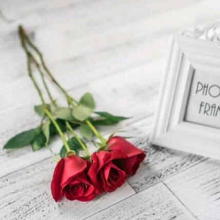 打地铺的月亮🌙