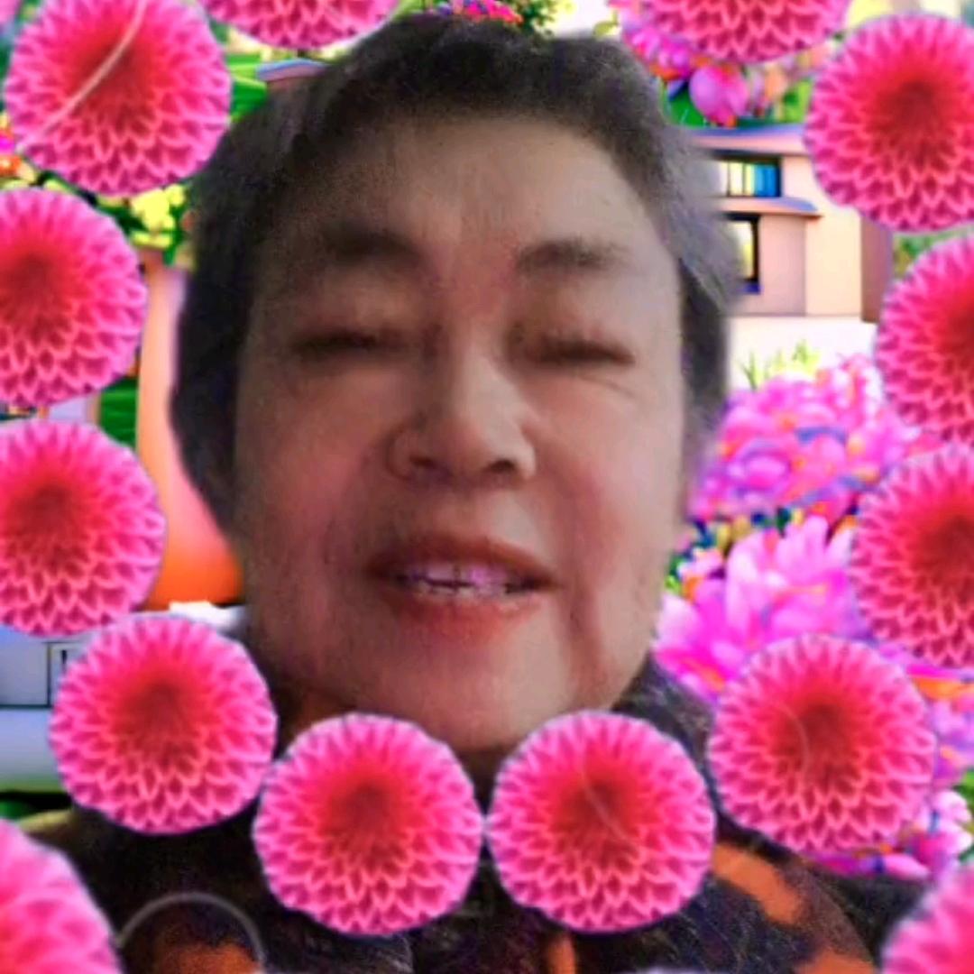 妙纯