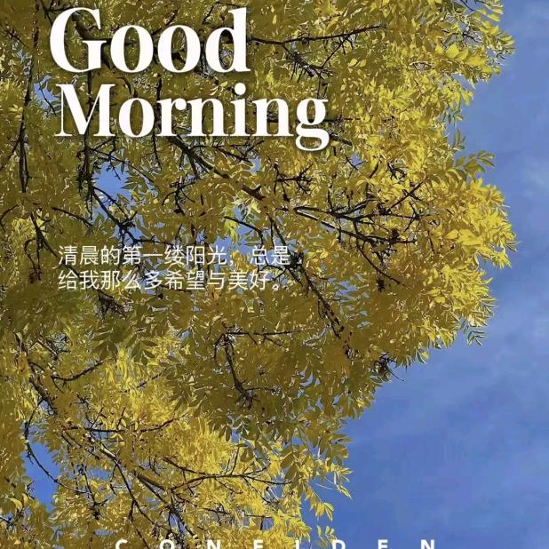 $紫气东来$