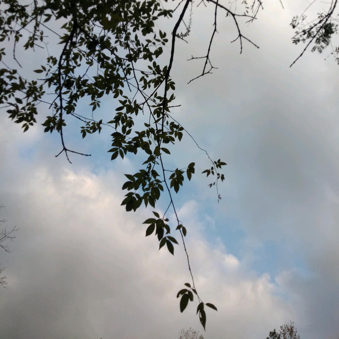尤茂江