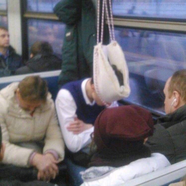 银河橄榄