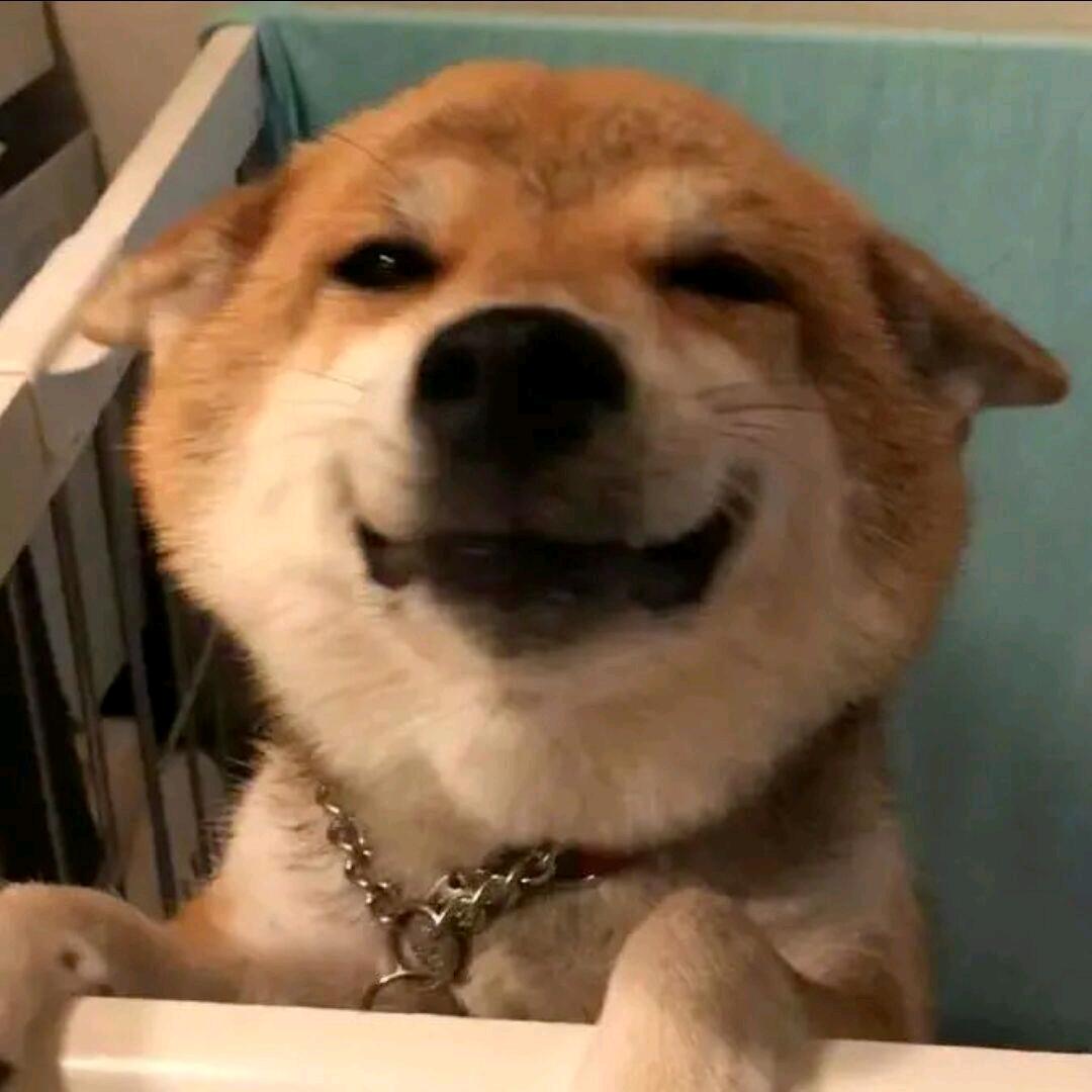 ！！！蟹不肉！！！