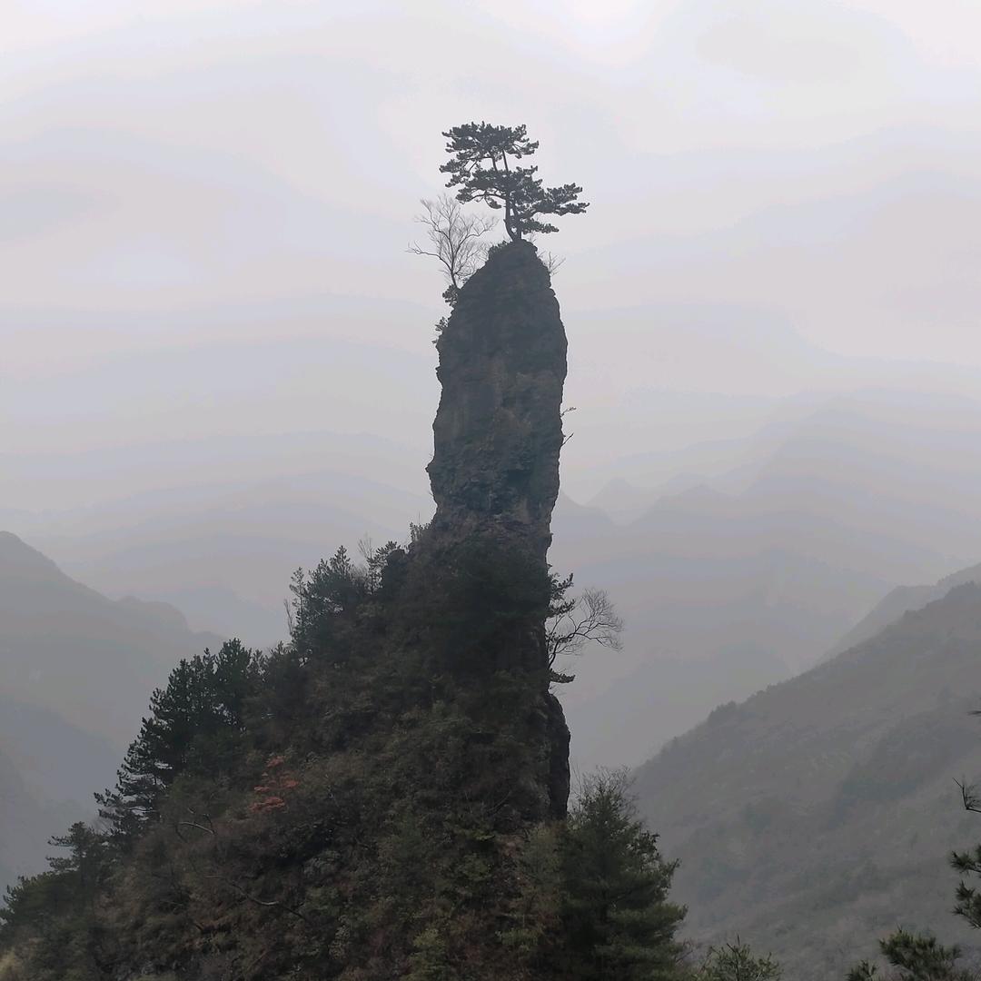真爱一生