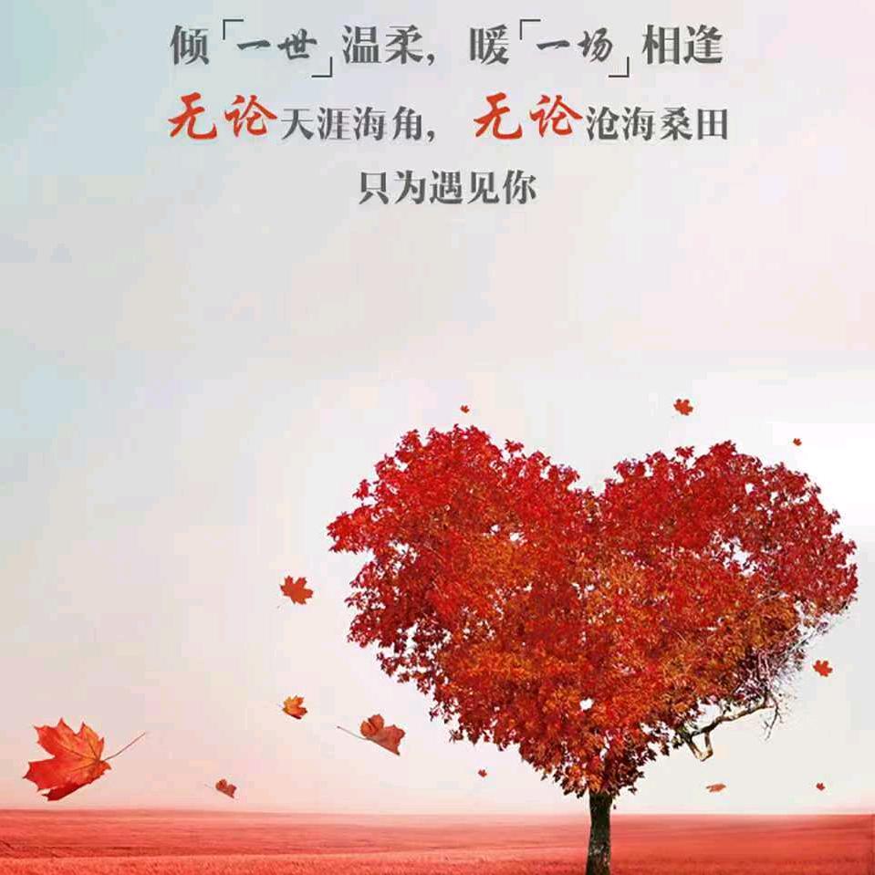 🦋᭄尤入💓⁵²⁰苏心¹³¹⁴࿐