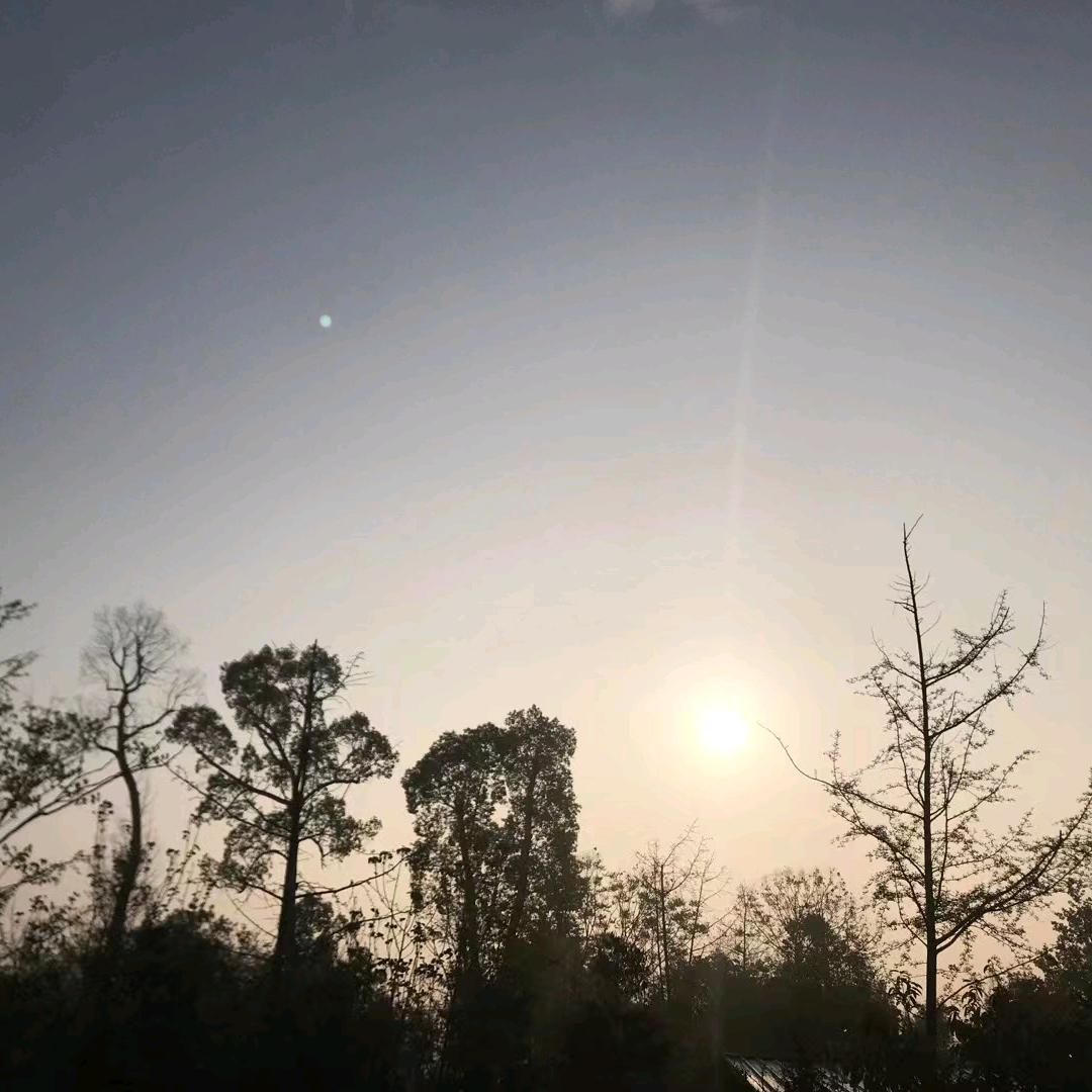 江湖不见