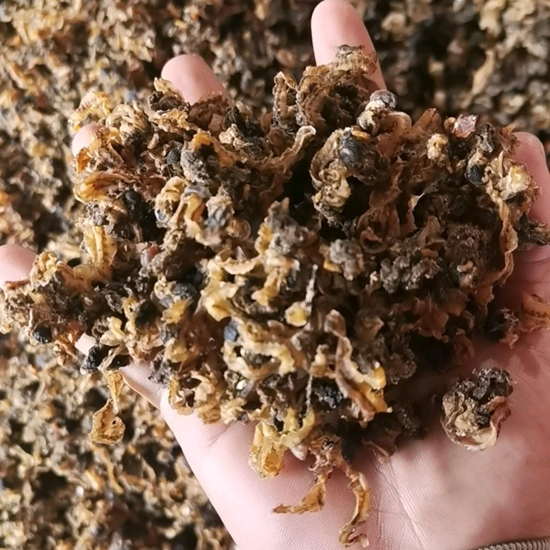 扇贝边交易市场（金刚虾，海参等水产饲料）