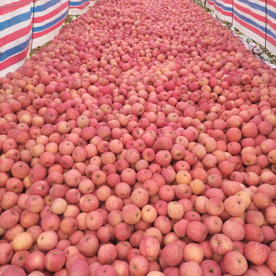 用户4098079088141一切随缘