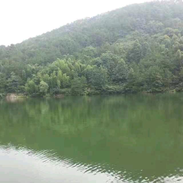 顺风顺水