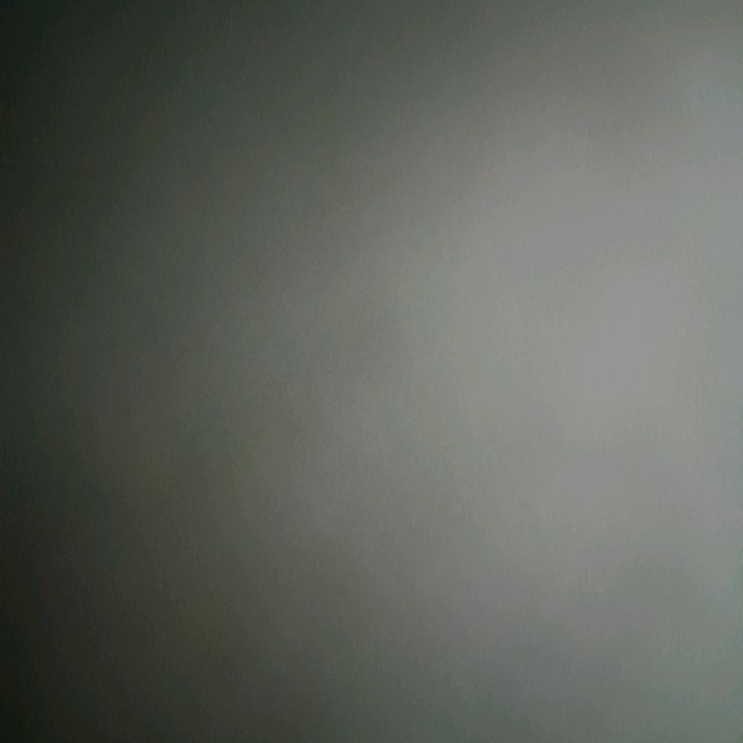 有寿
