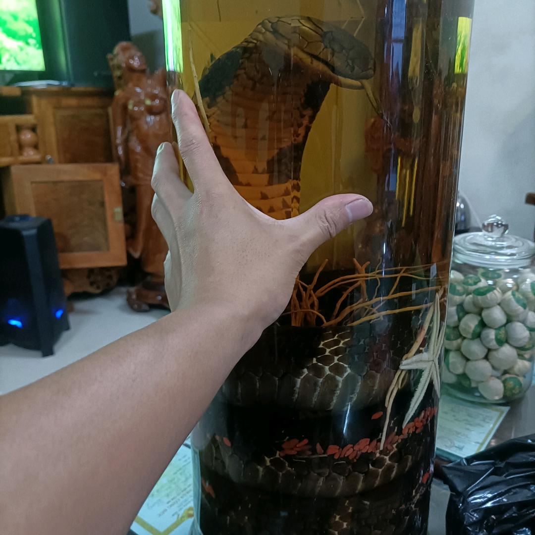 金鳞特种养殖场