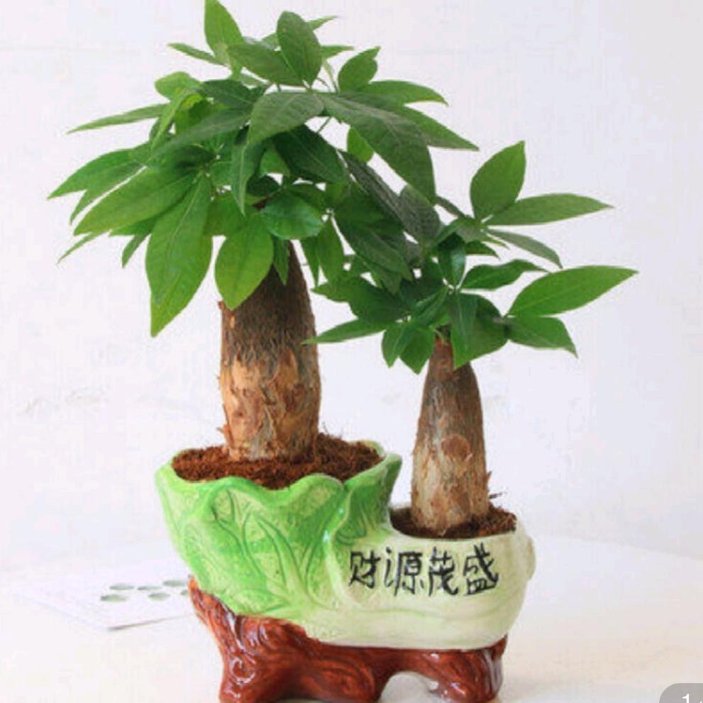 幸福的承诺