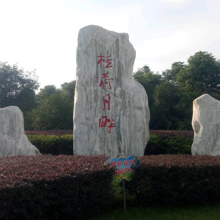 无聊的人