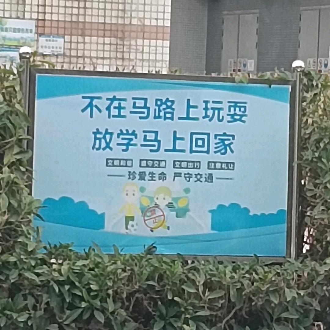 狡猾的狐狸