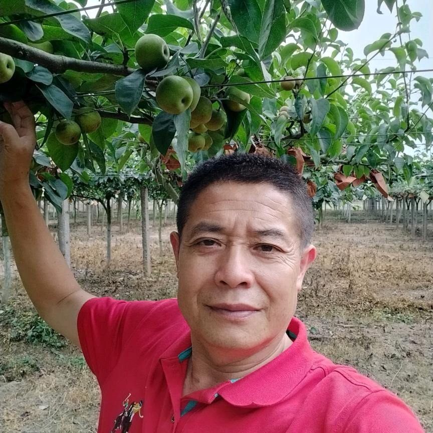 华锅💰💰招合伙人助农（卖各种农产品）