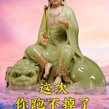 山林月肉