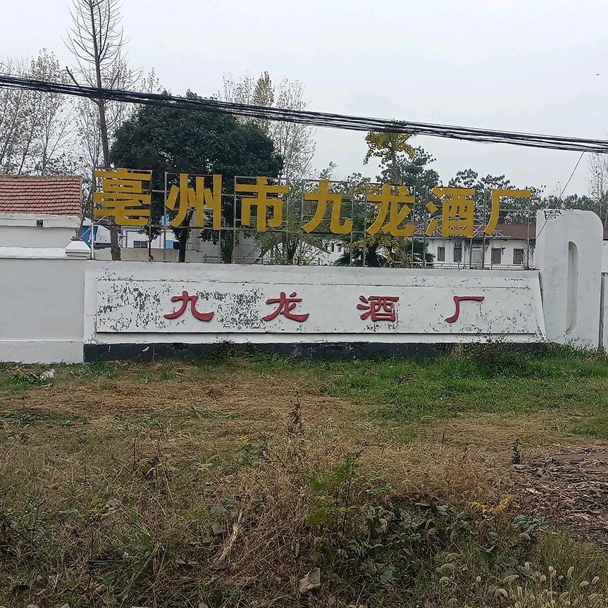 九龙美酒甄选铺