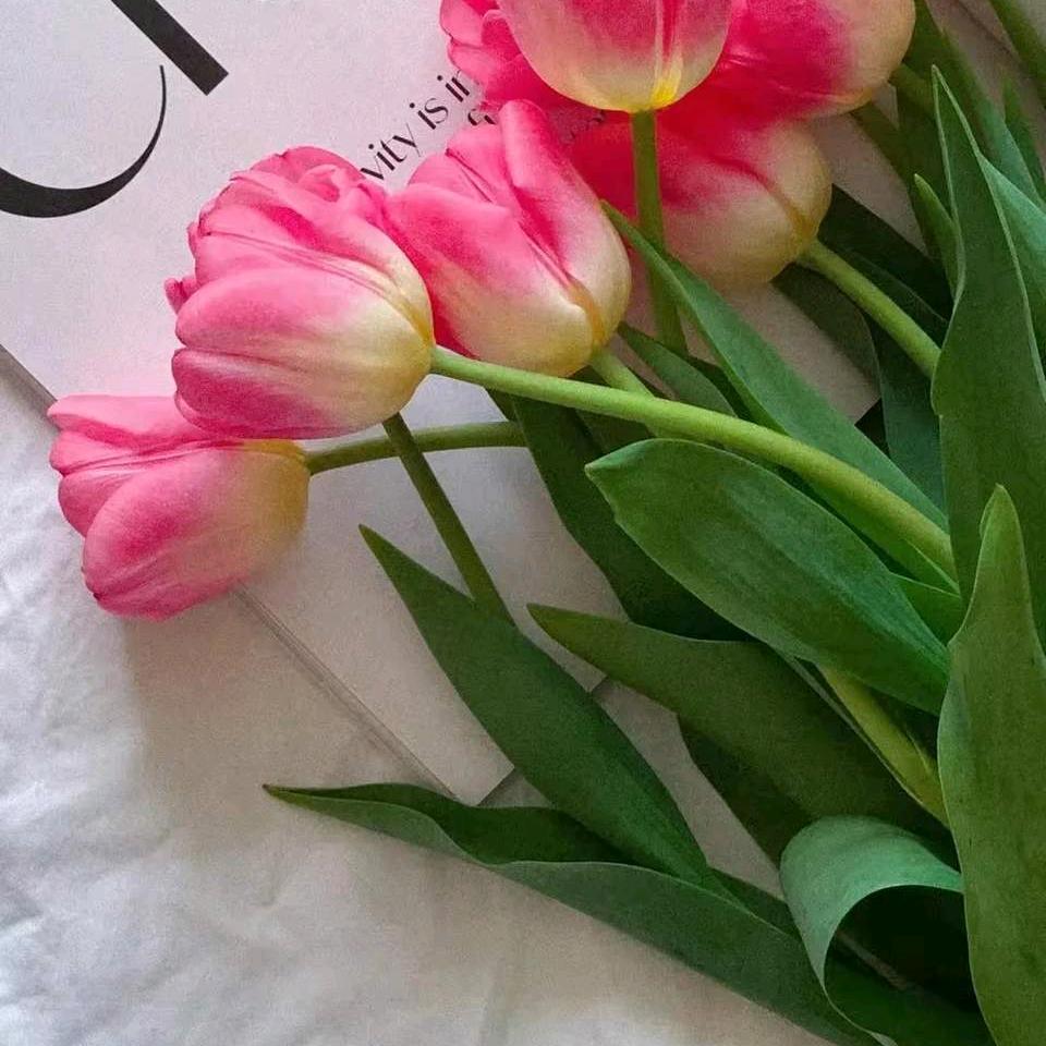 春暖花开