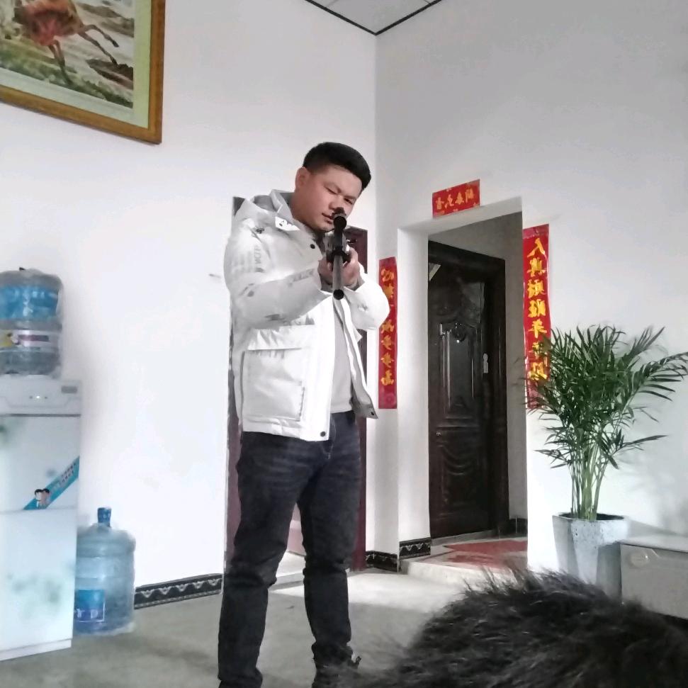 请叫我宋总（大号）✈️✈️