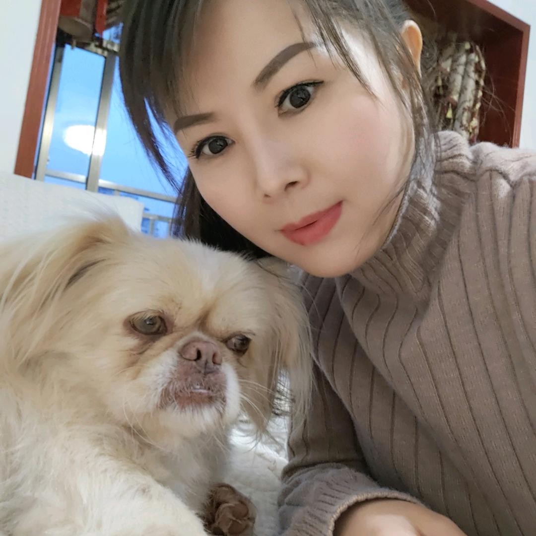 什么是什么
