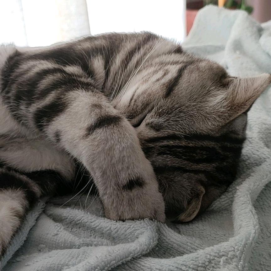 🌈少爺🎉🎊🎉🎊