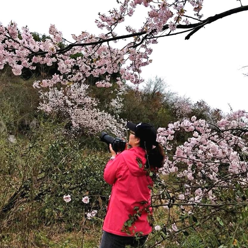 风景如云