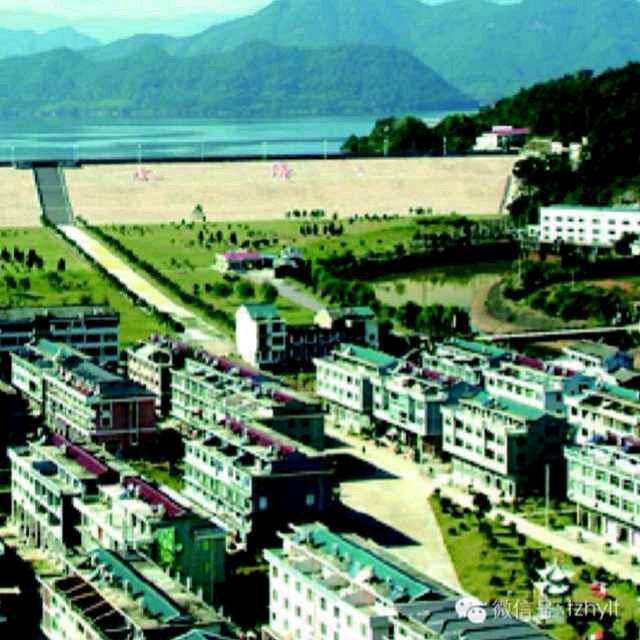 用户863490917（蒋先生）