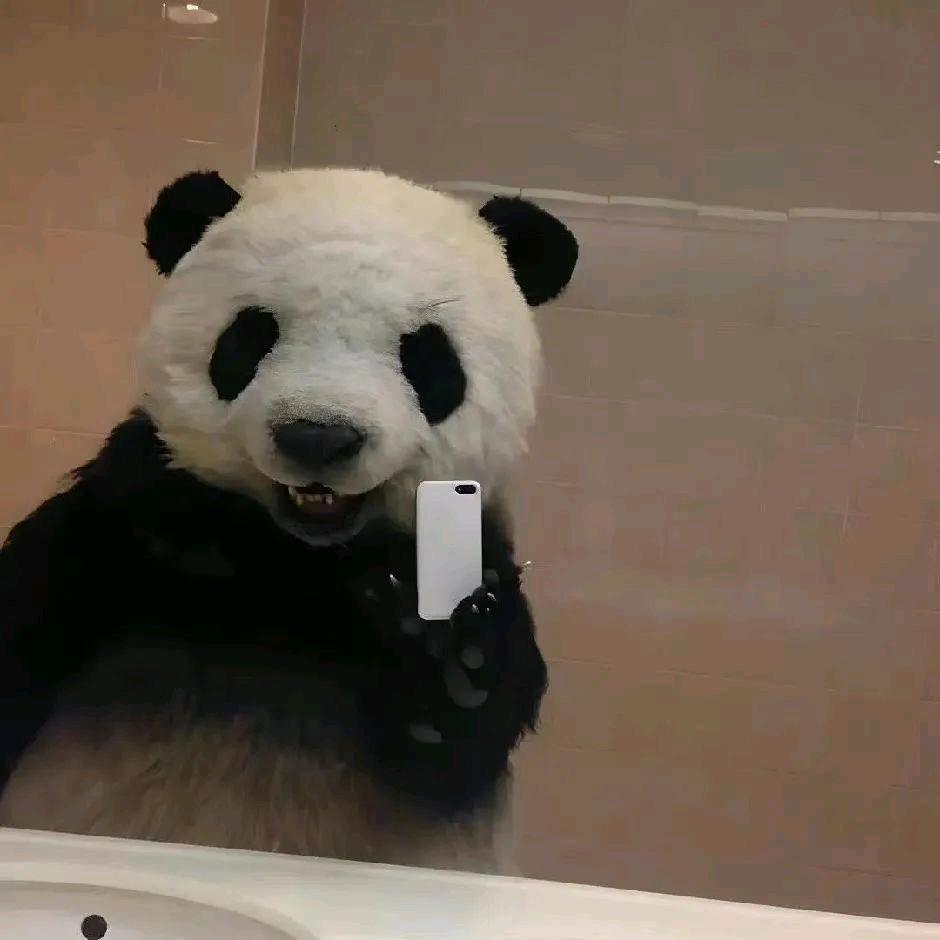 今天有灵感了嘛超！📷