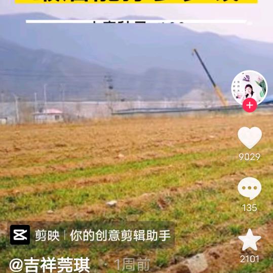 男人的风度