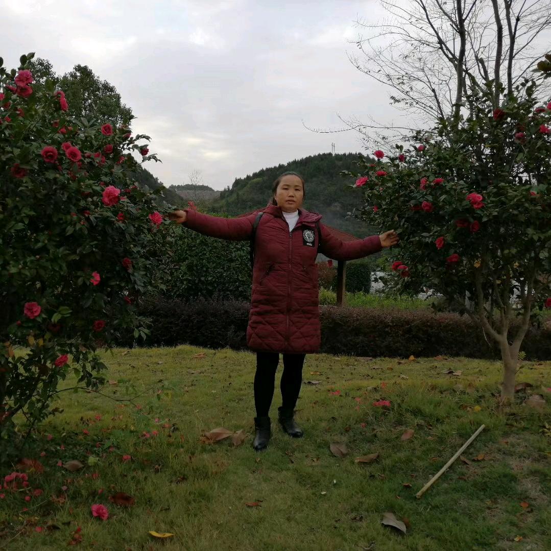 已重置