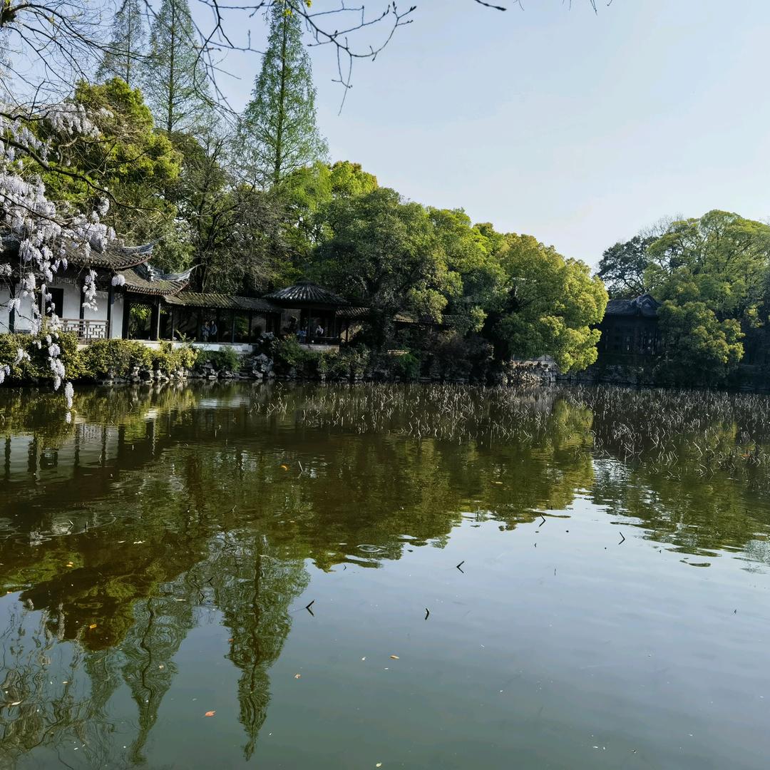 虎头