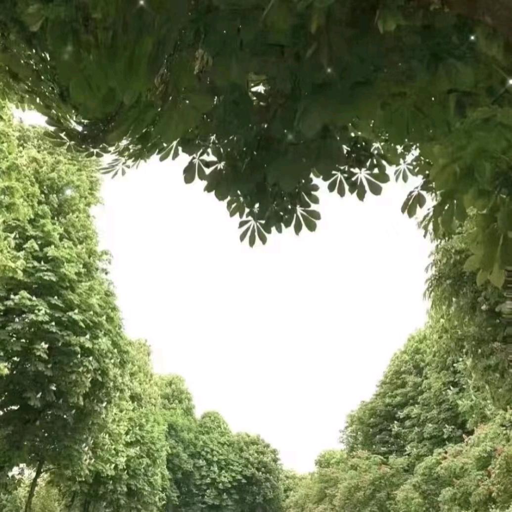 星期六优选