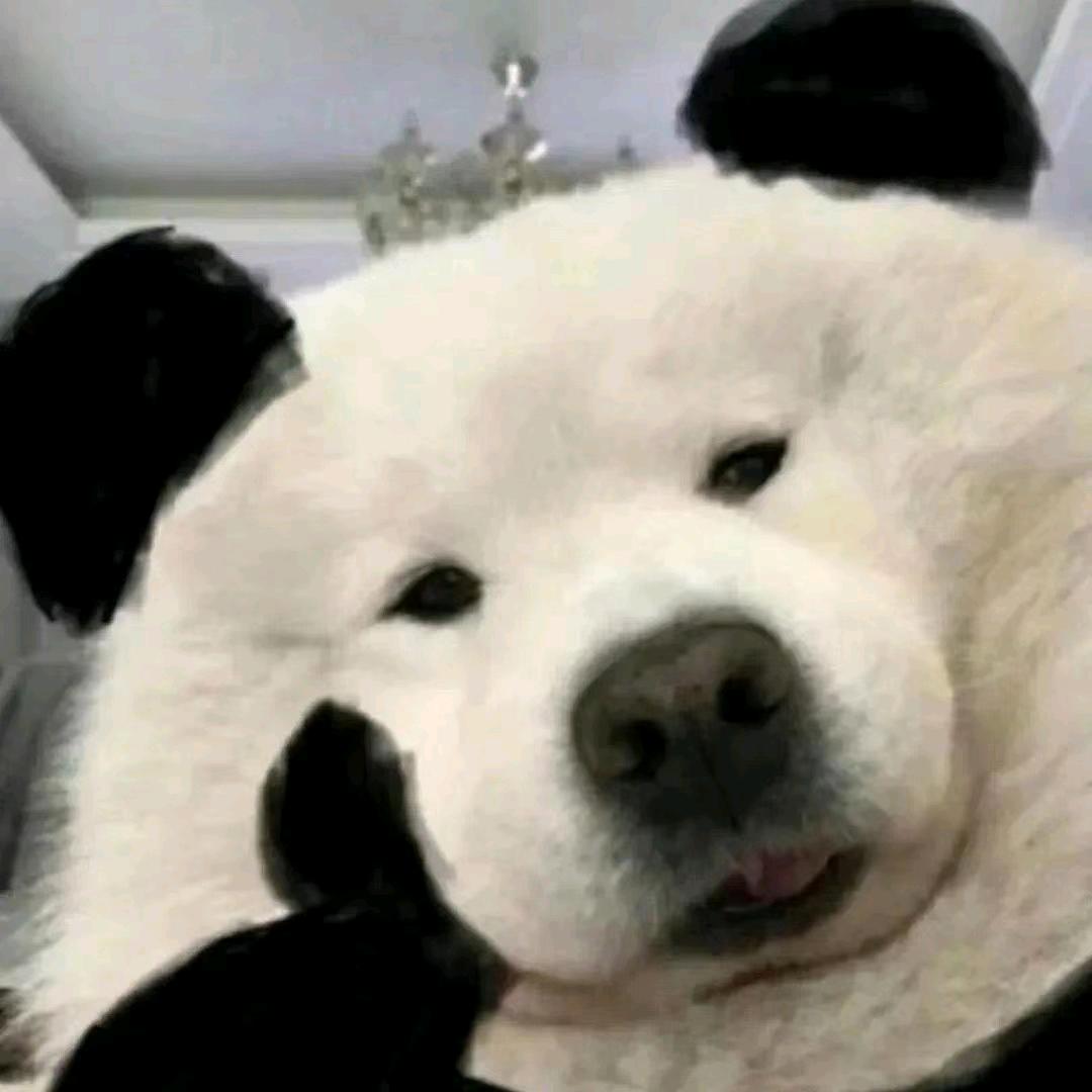 网恋被骗298万