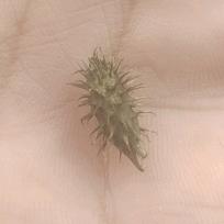 弱电施工，监控安装，网络布线