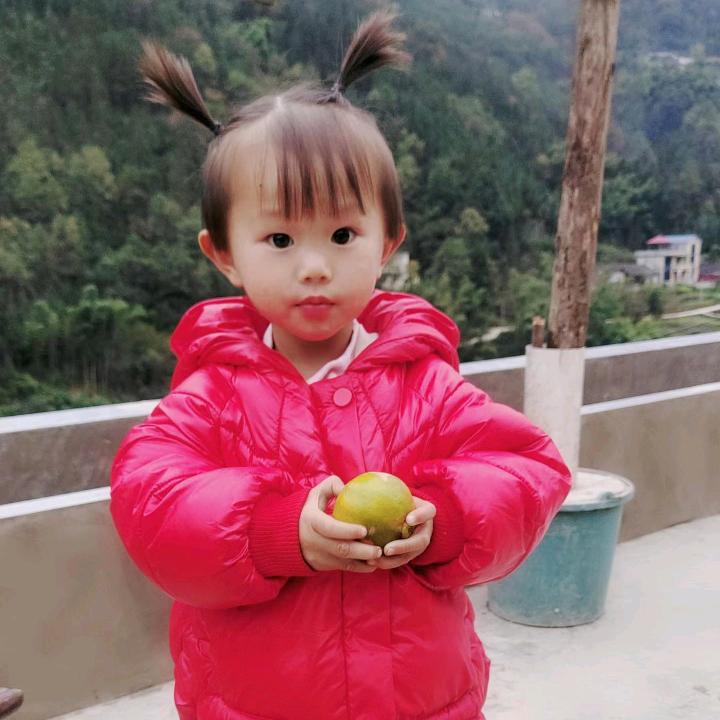 何书琴