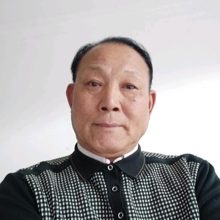 晨歌老董