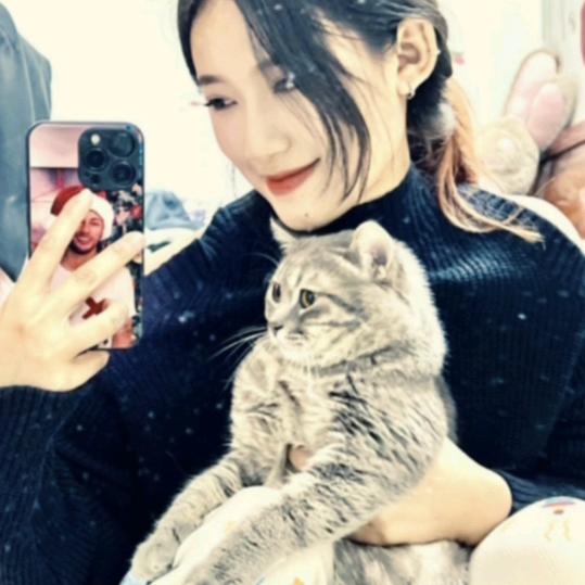 小燕