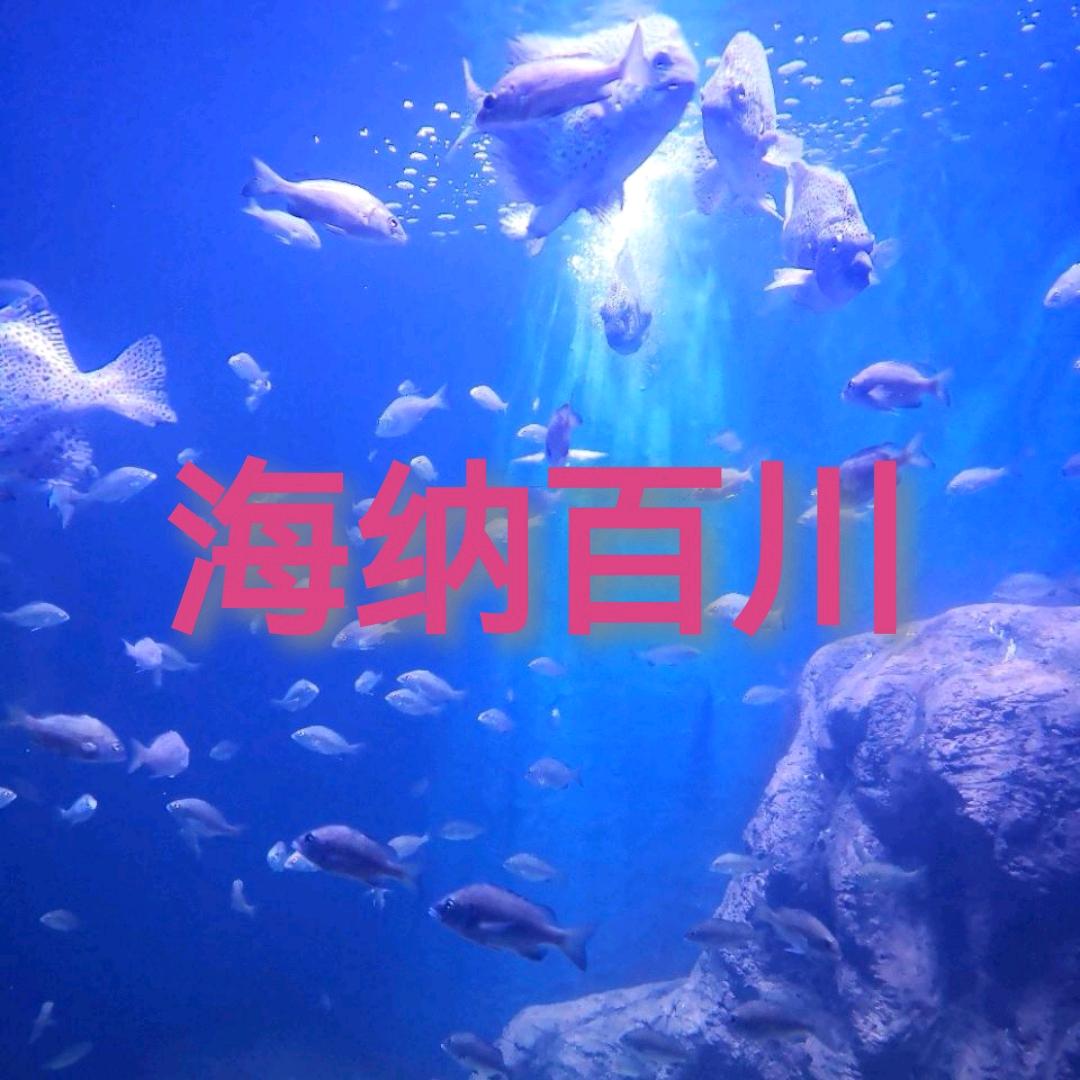 海