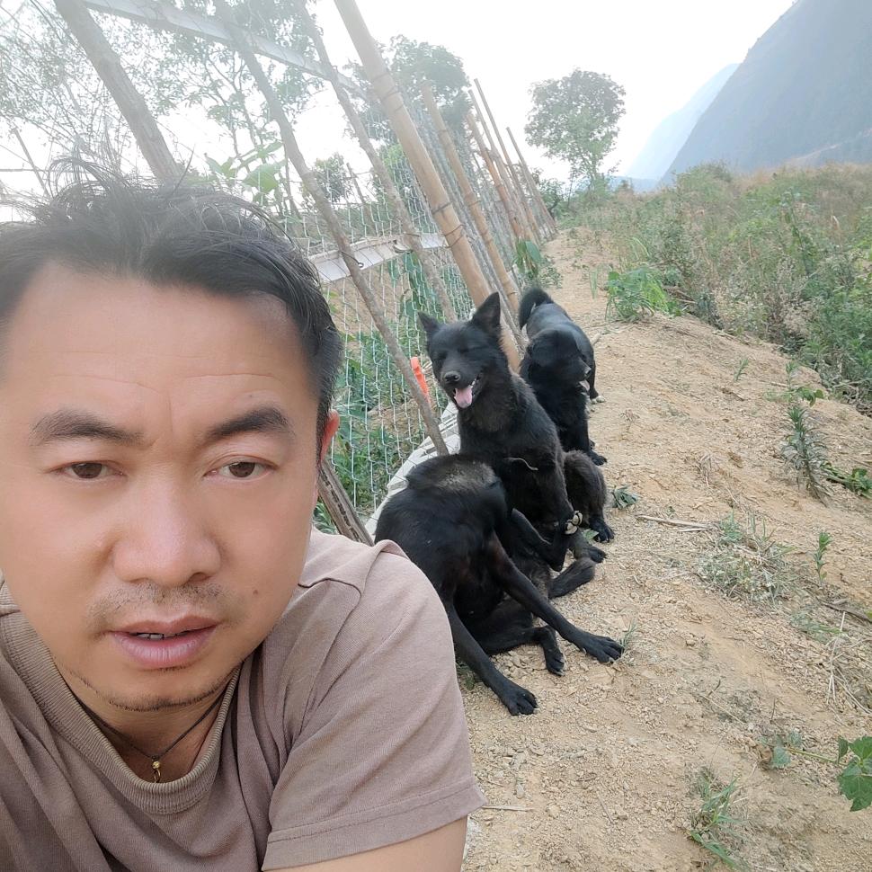 @坝尾山二当家（专售小狗🐶）