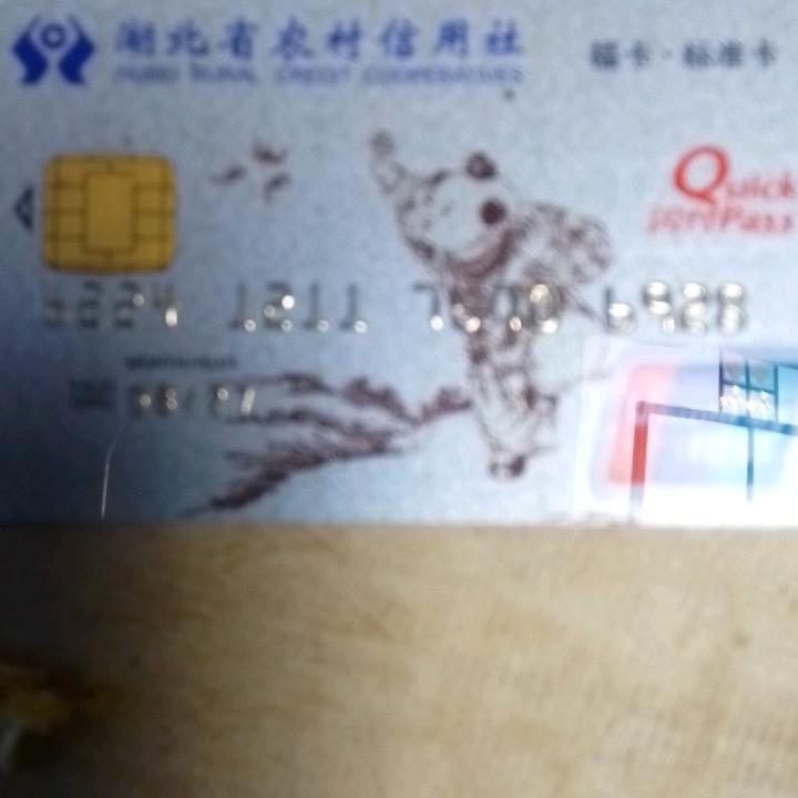 张老嗲