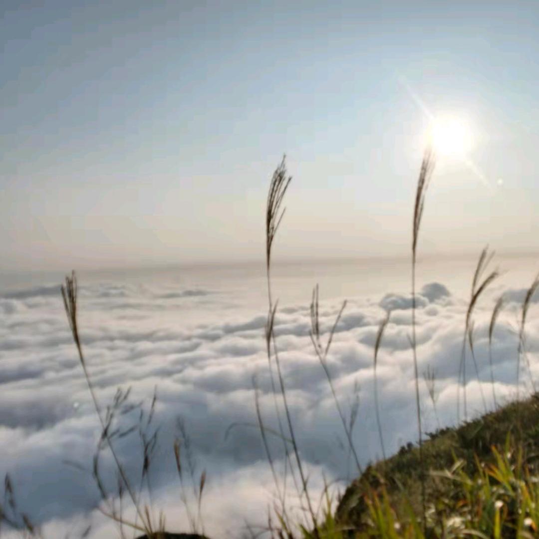 ♥谁偷了我的小熊♥