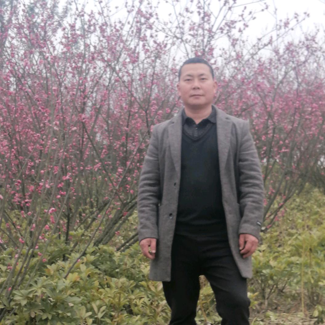 南部杨小东