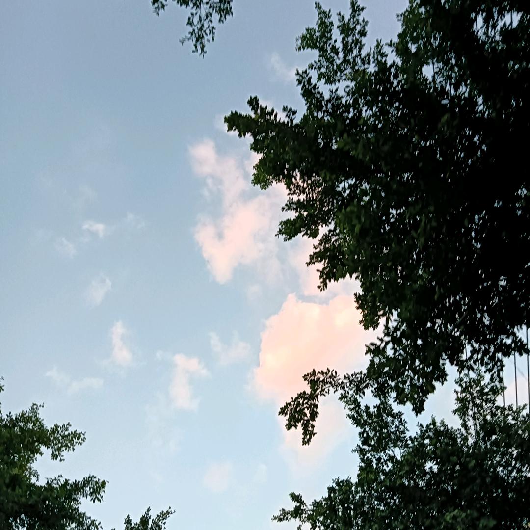 大大的世界小小的我