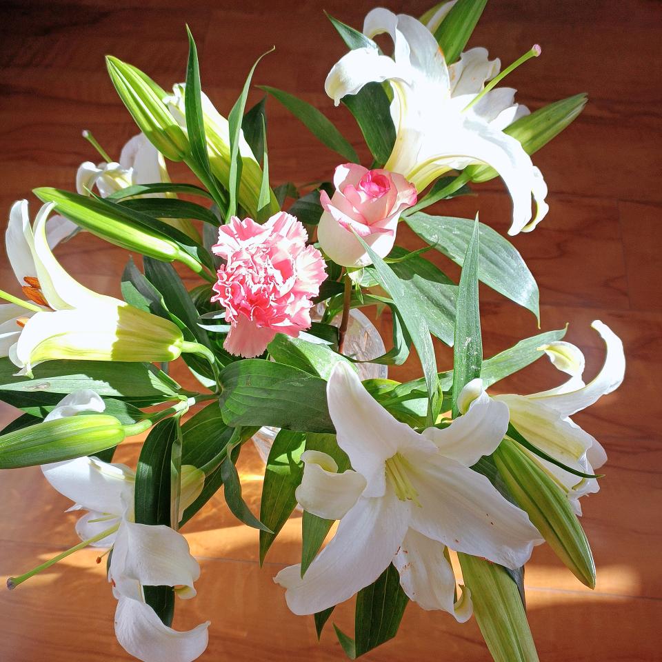 遇见更好的自己