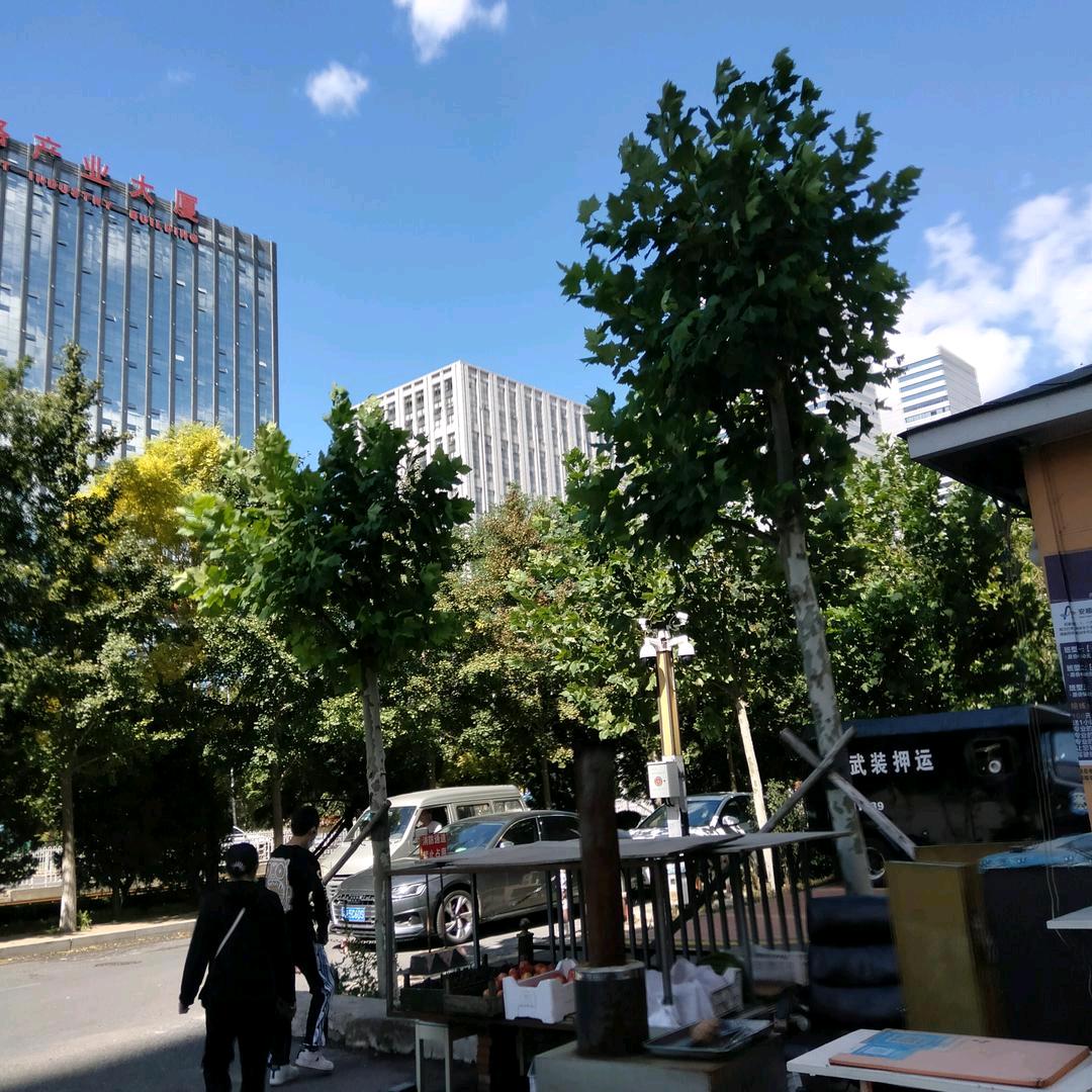 同心圆
