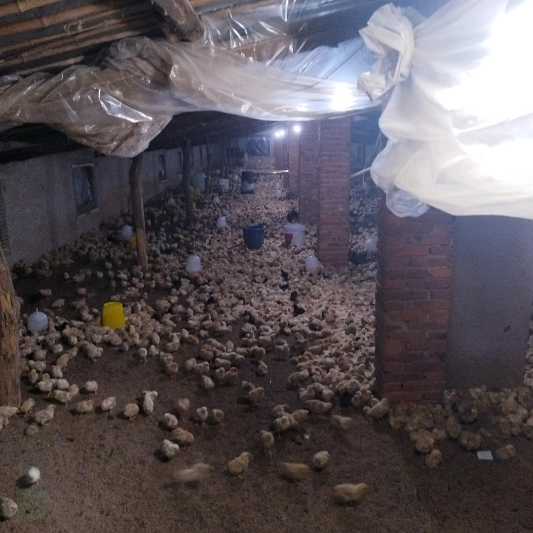 用我的余生去爱你