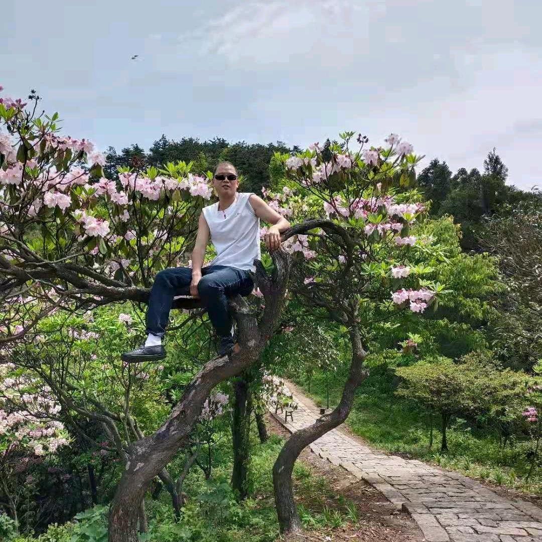 草原上雄🦅