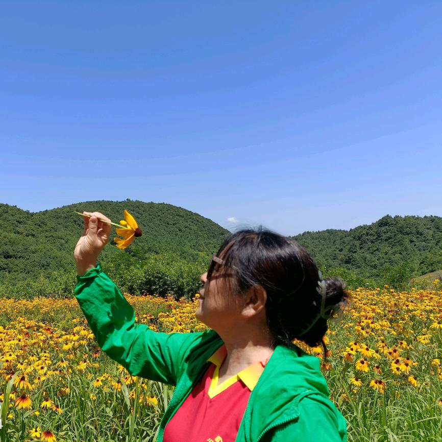wy靓影